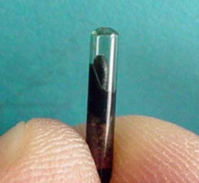 Pet Microchips