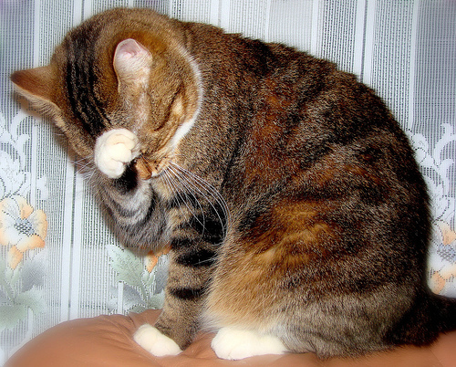 Hyperthyroidism