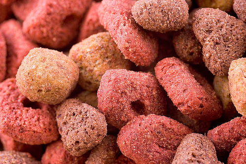 Pet Food Recall